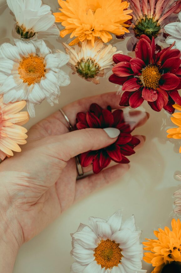 feminine wellness products