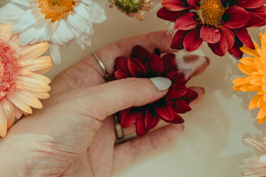 feminine wellness products